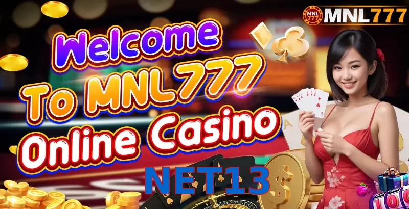 NET13