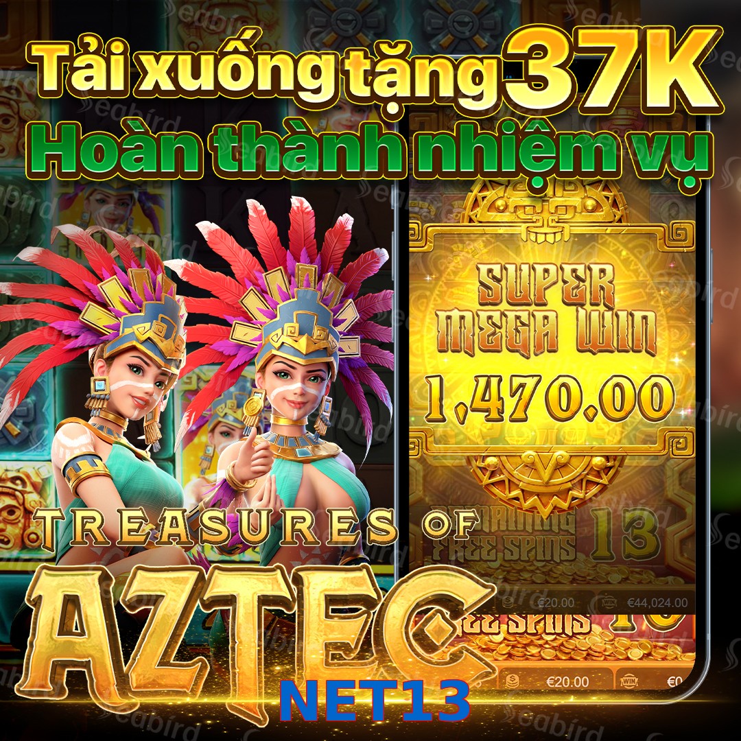 NET13