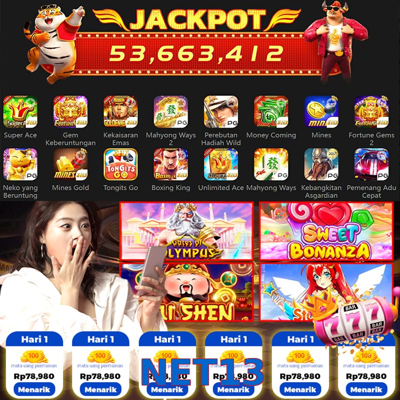 NET13