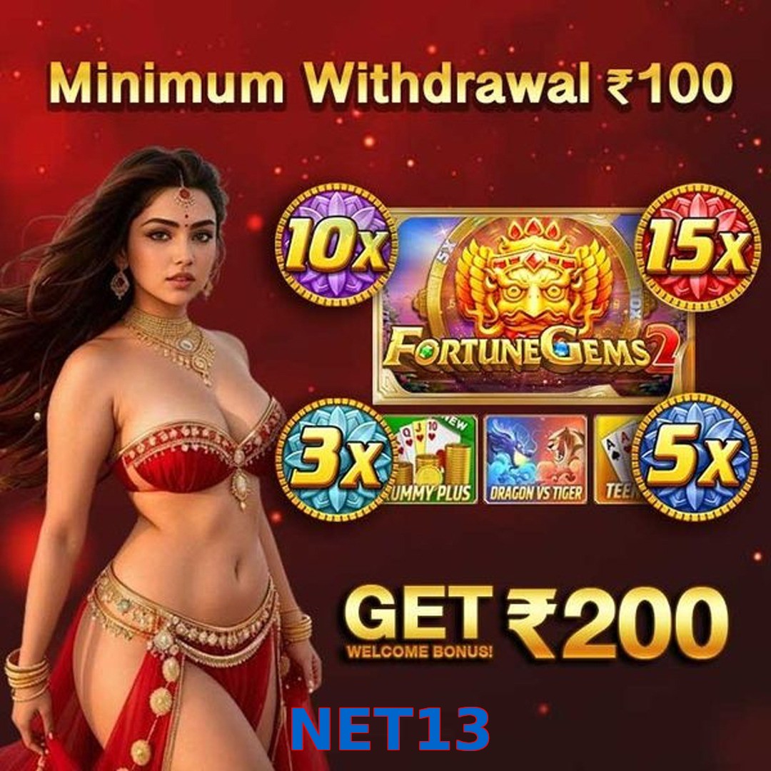 NET13