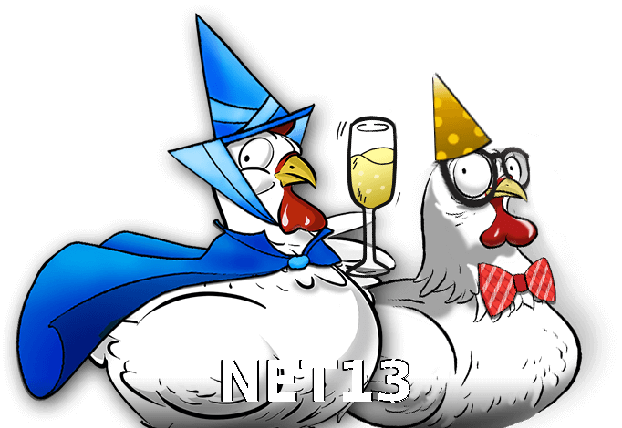 NET13