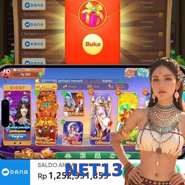 NET13