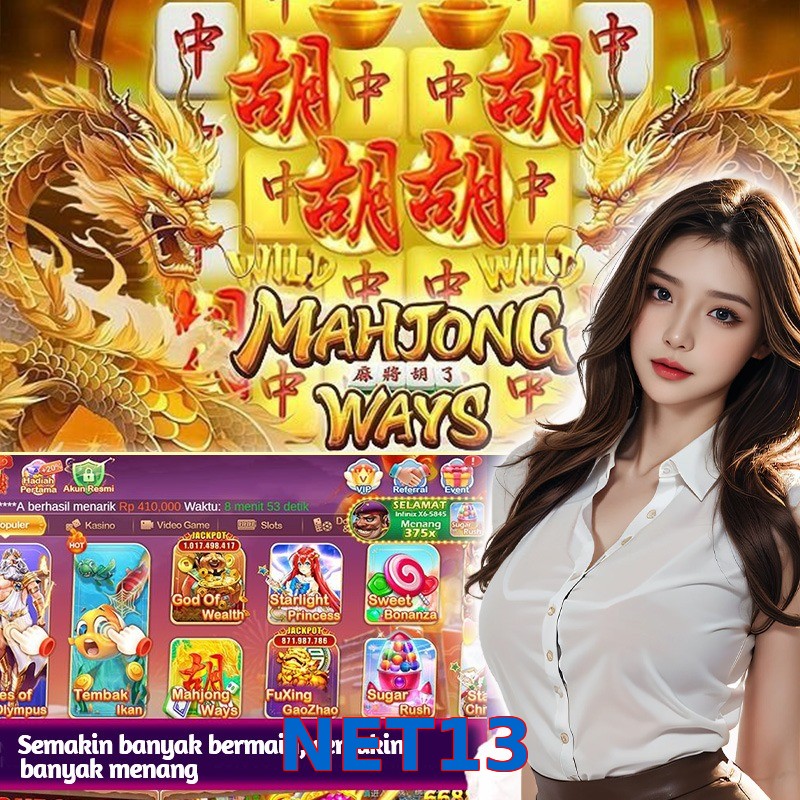 NET13