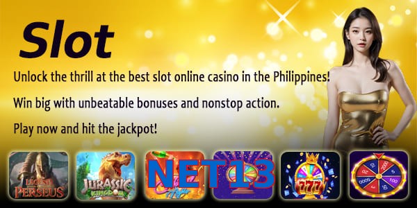 NET13