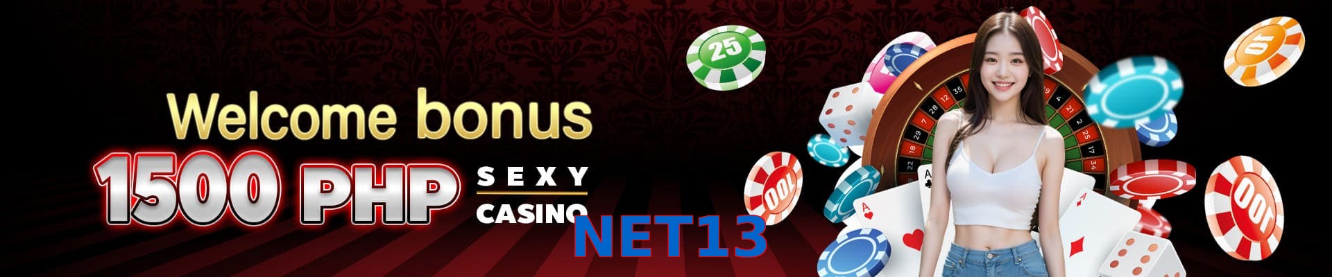 NET13