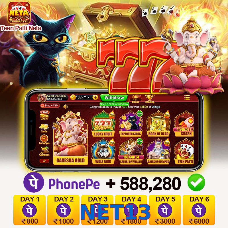 NET13