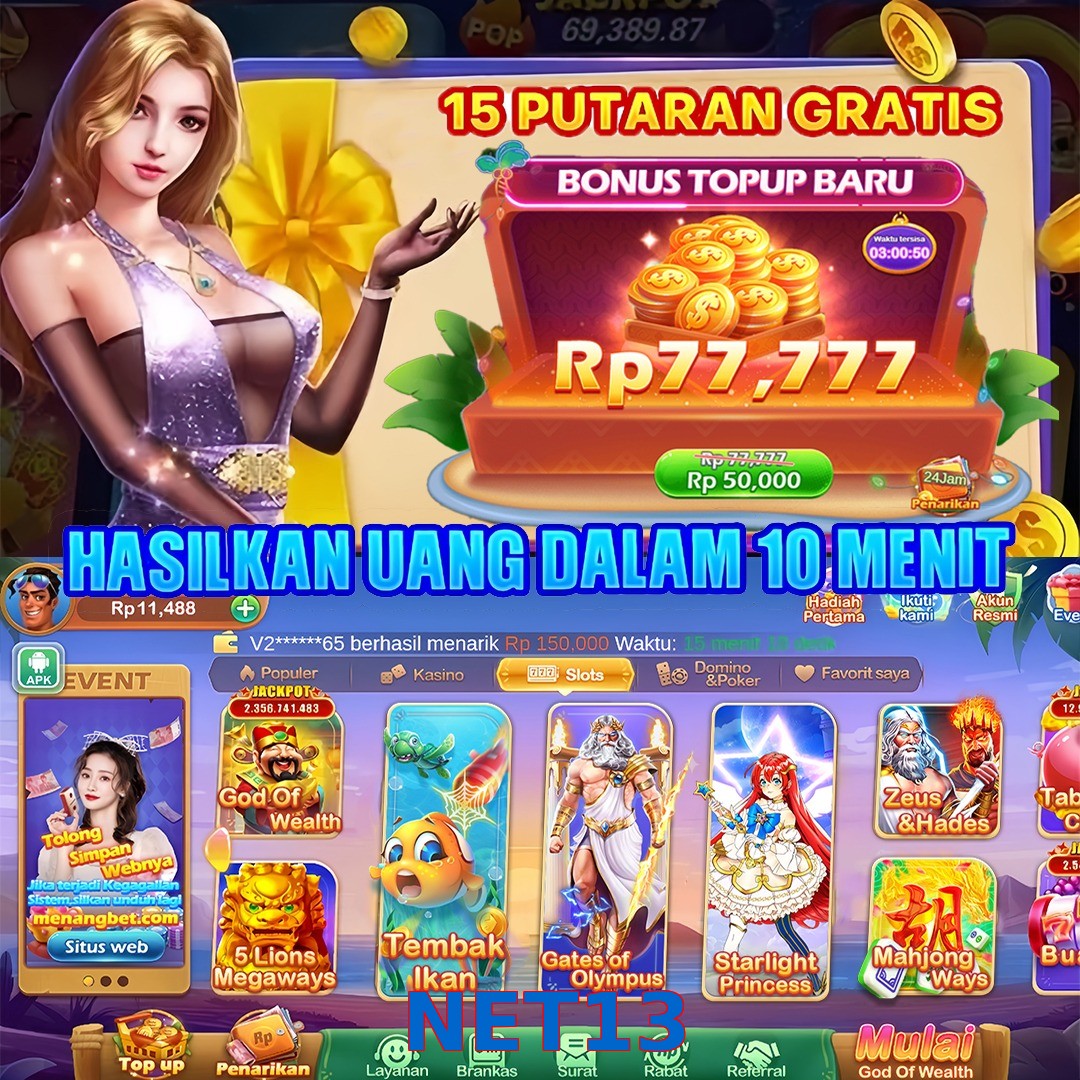 NET13