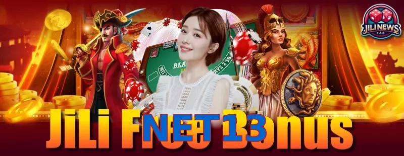 NET13