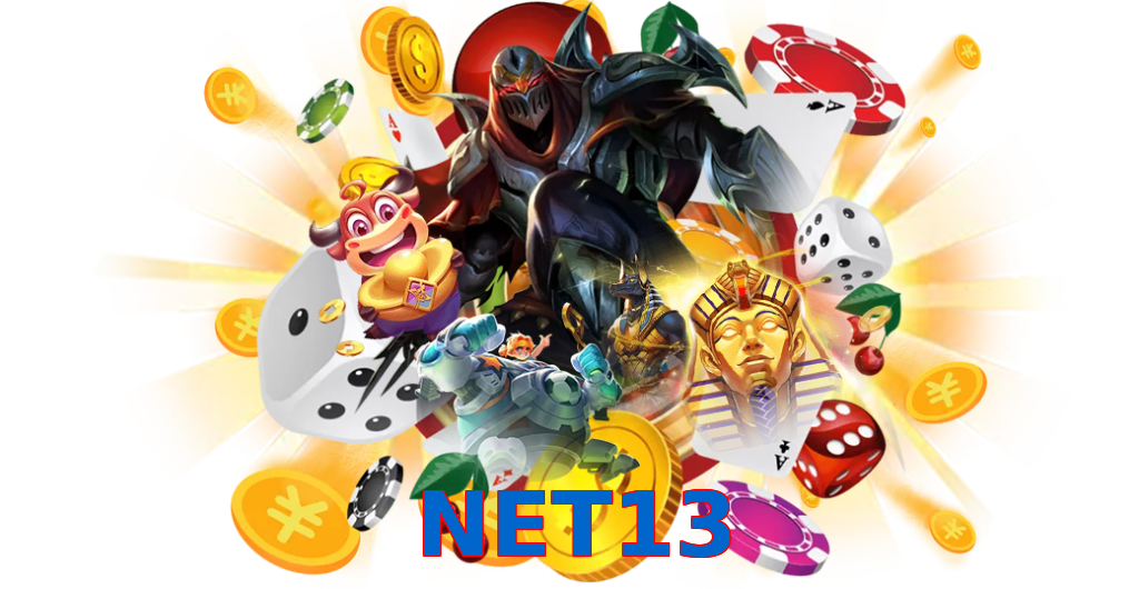 NET13
