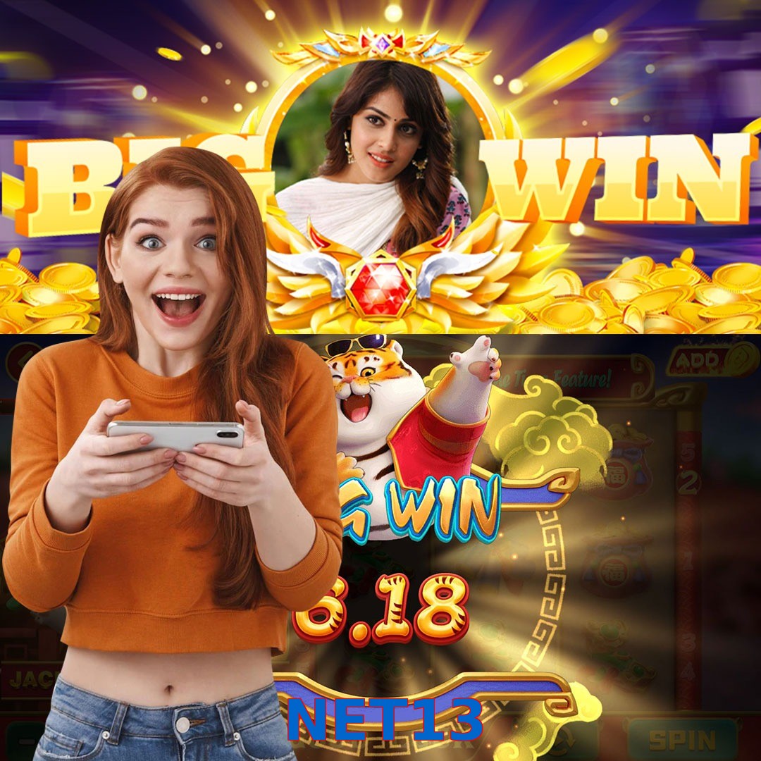NET13