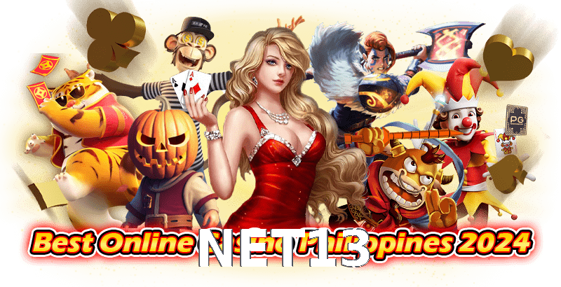 NET13