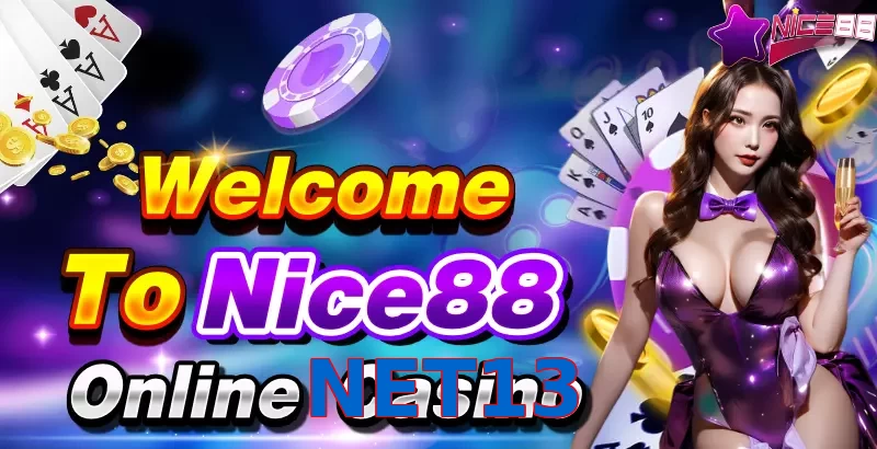 NET13
