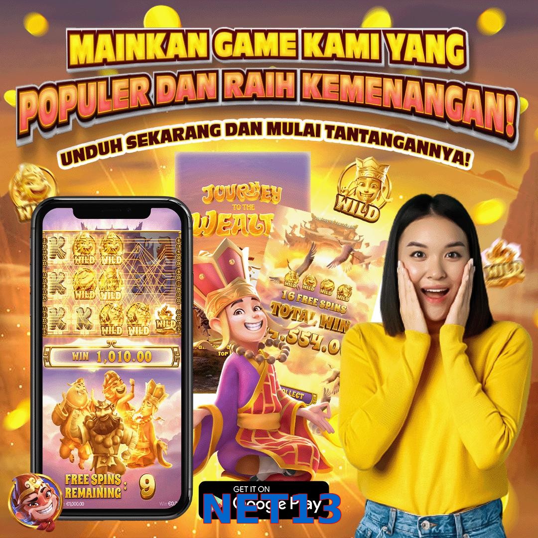 NET13