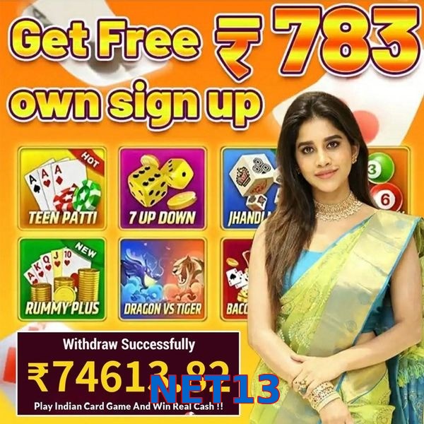 NET13