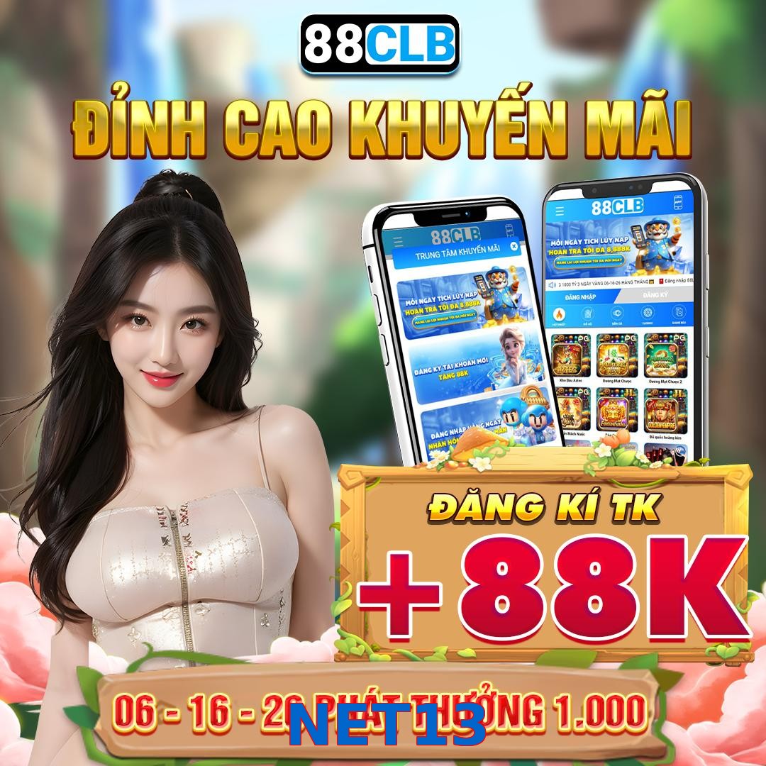 NET13