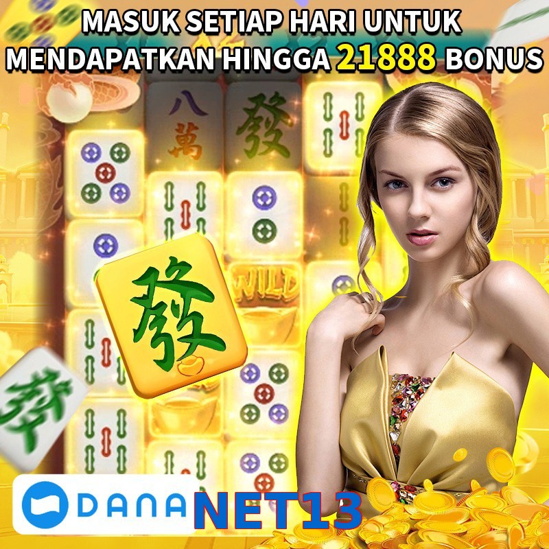 NET13