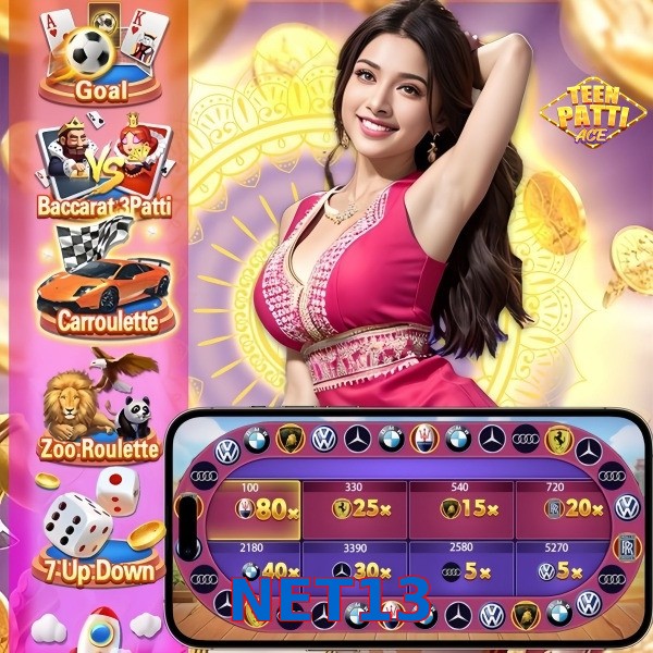 NET13