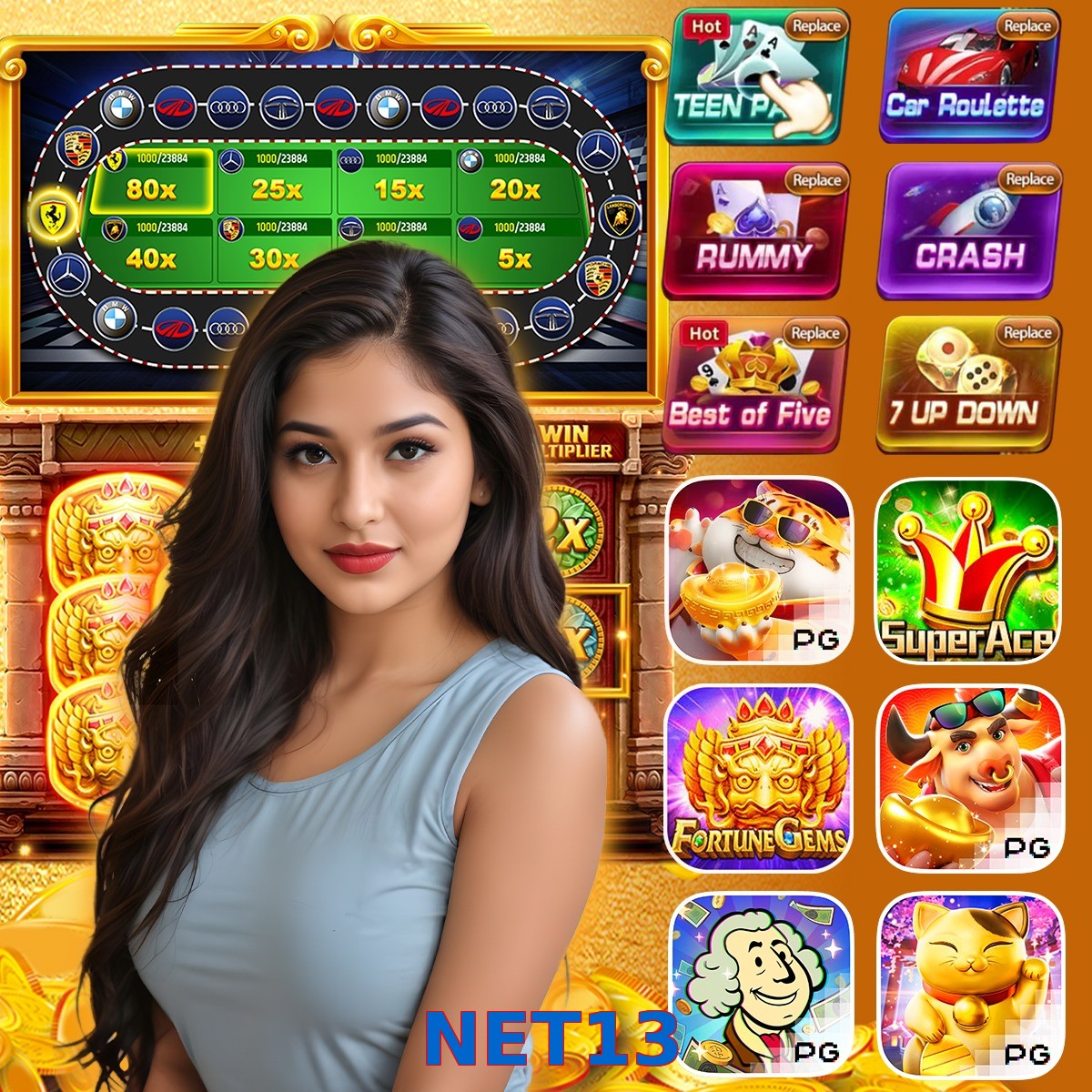 NET13