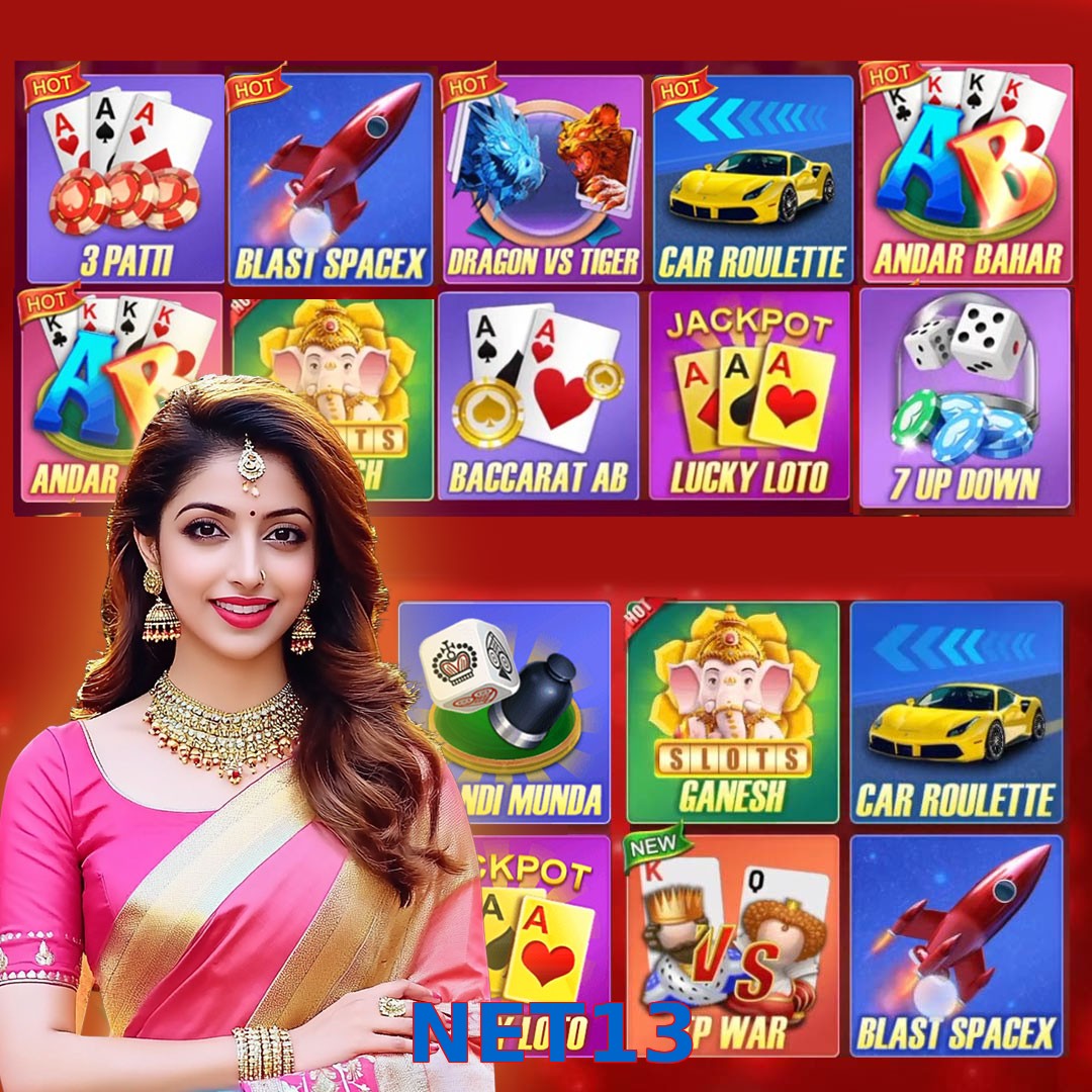NET13