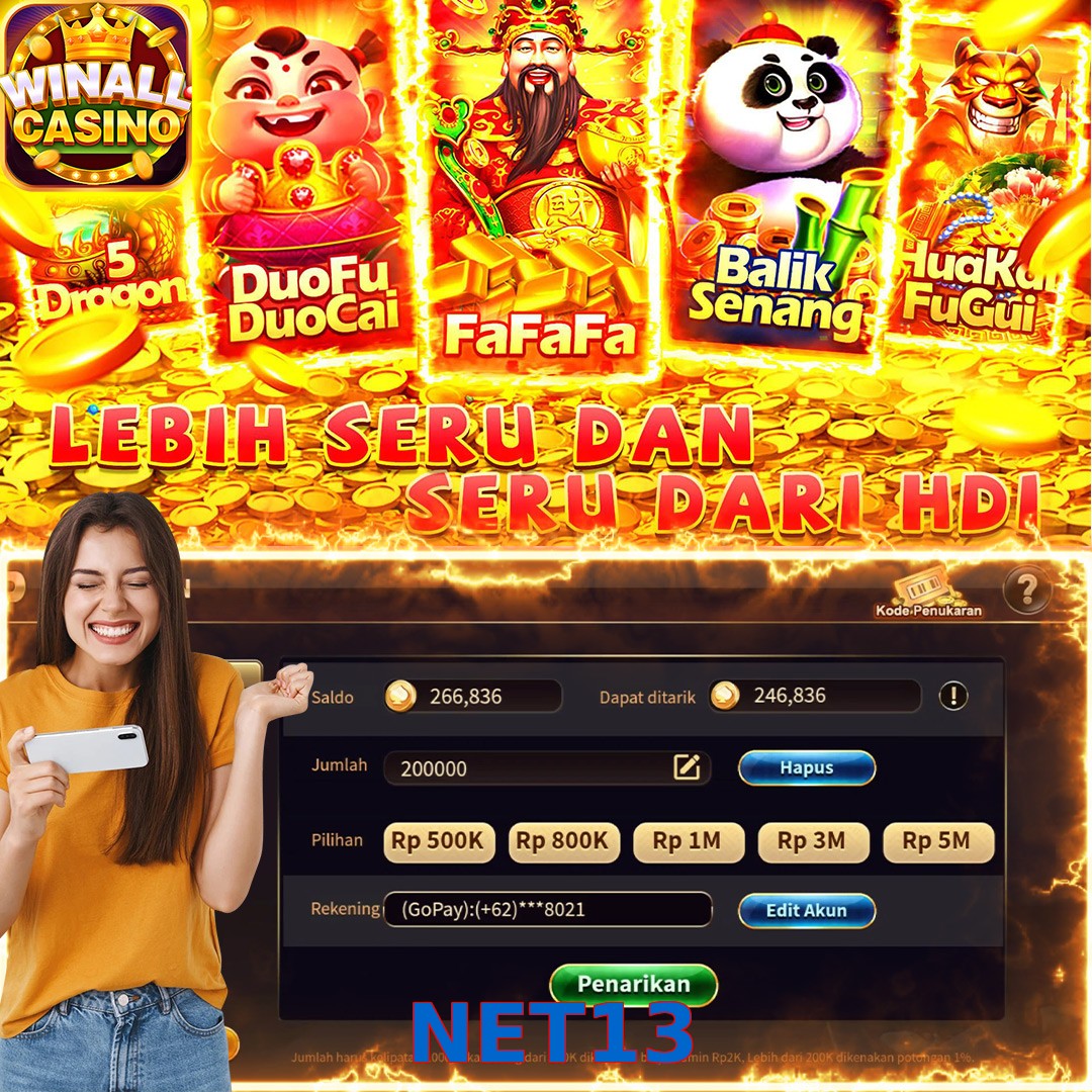 NET13
