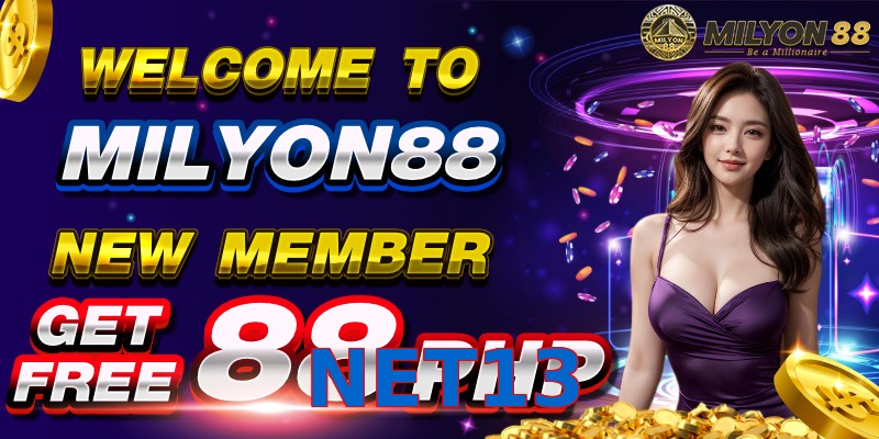 NET13