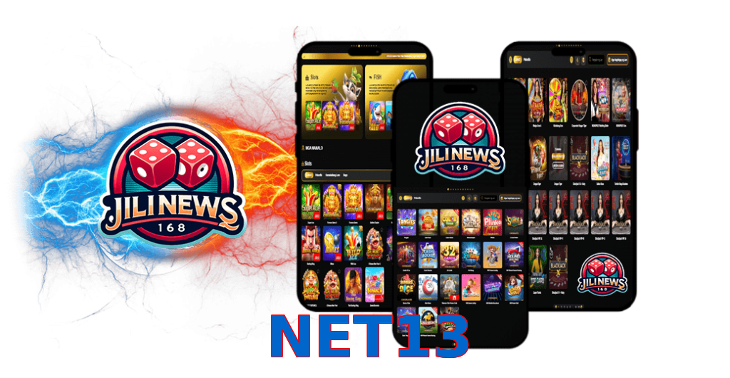 NET13