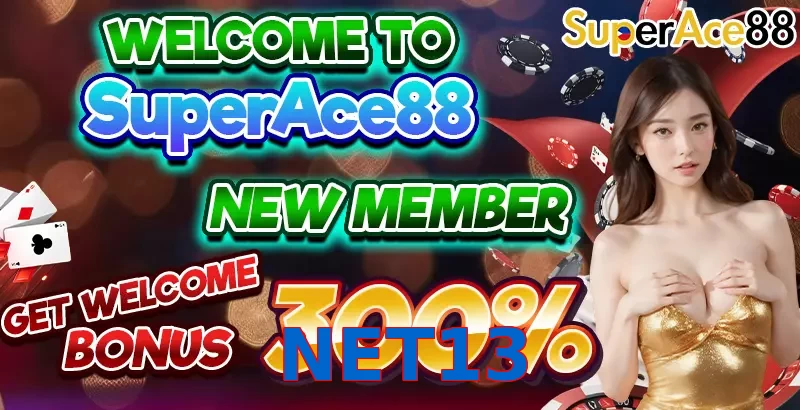 NET13