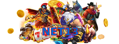 NET13