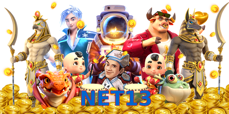 NET13