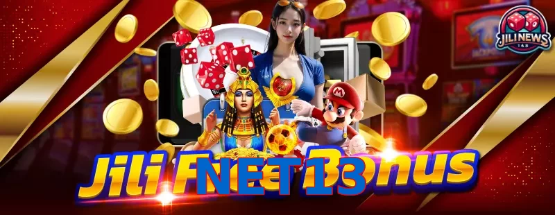 NET13