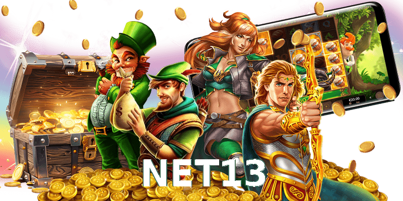 NET13
