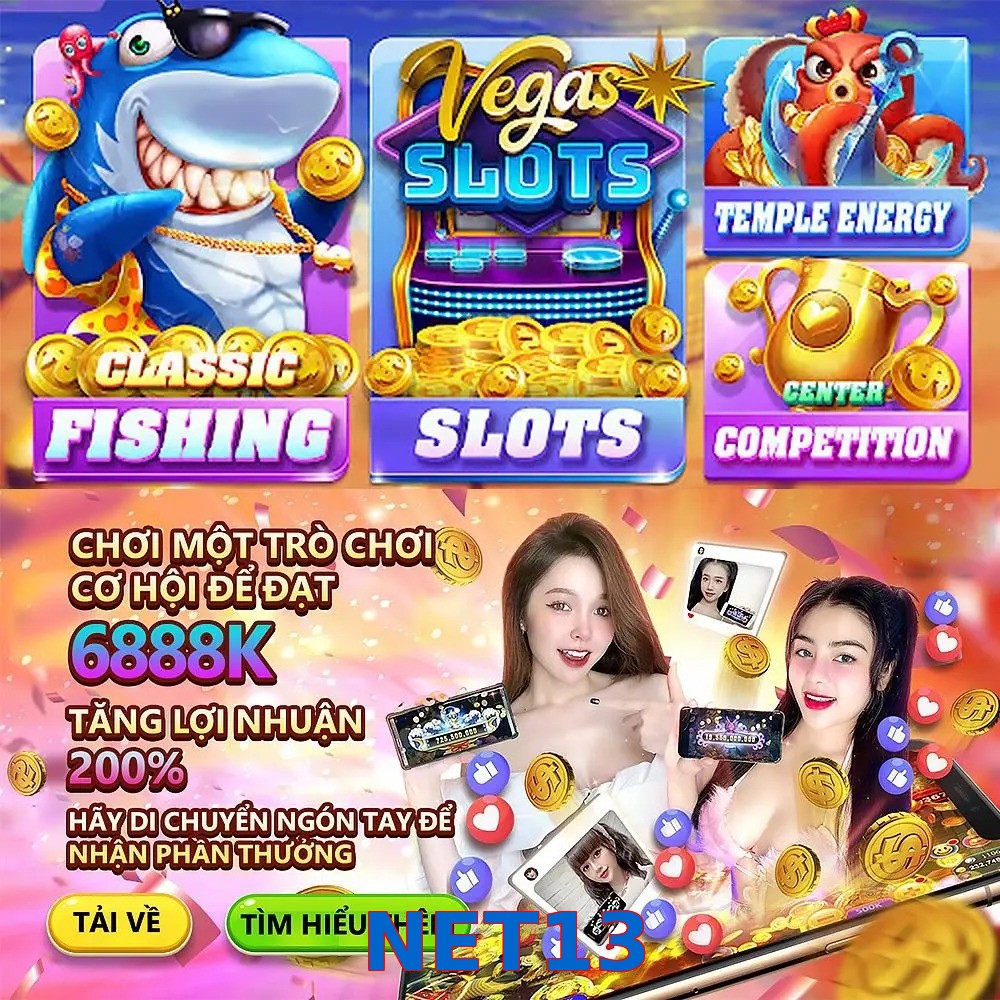 NET13