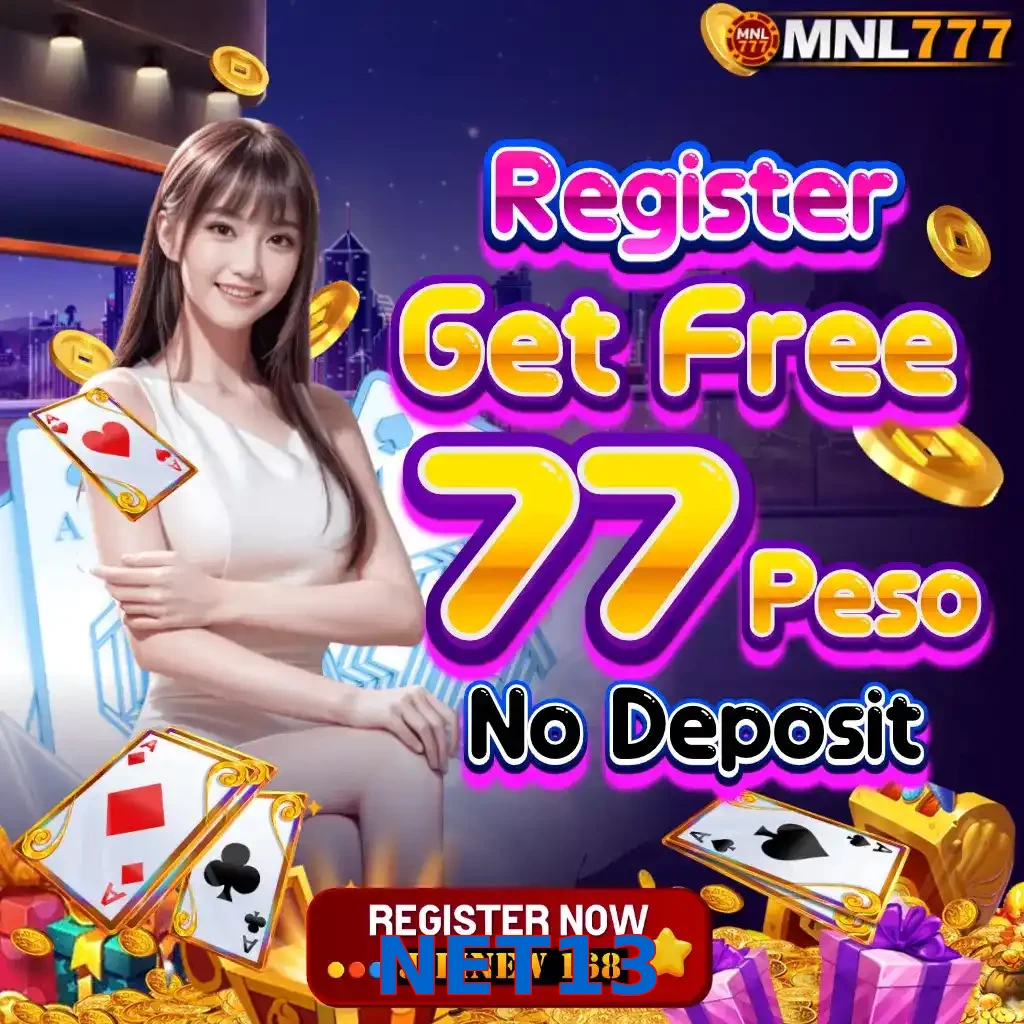 NET13
