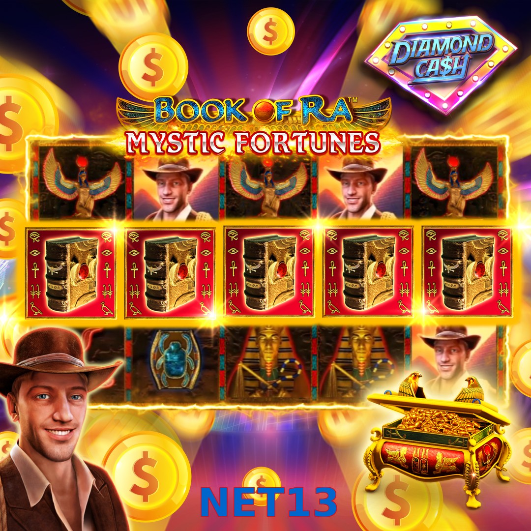 NET13