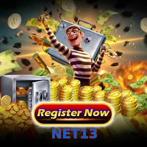 NET13
