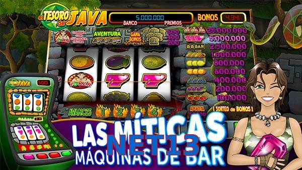 NET13