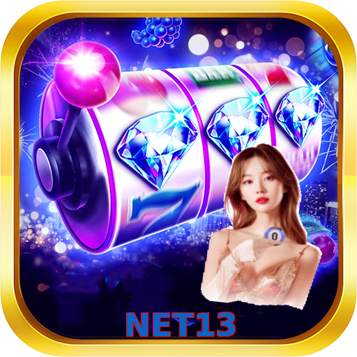 NET13