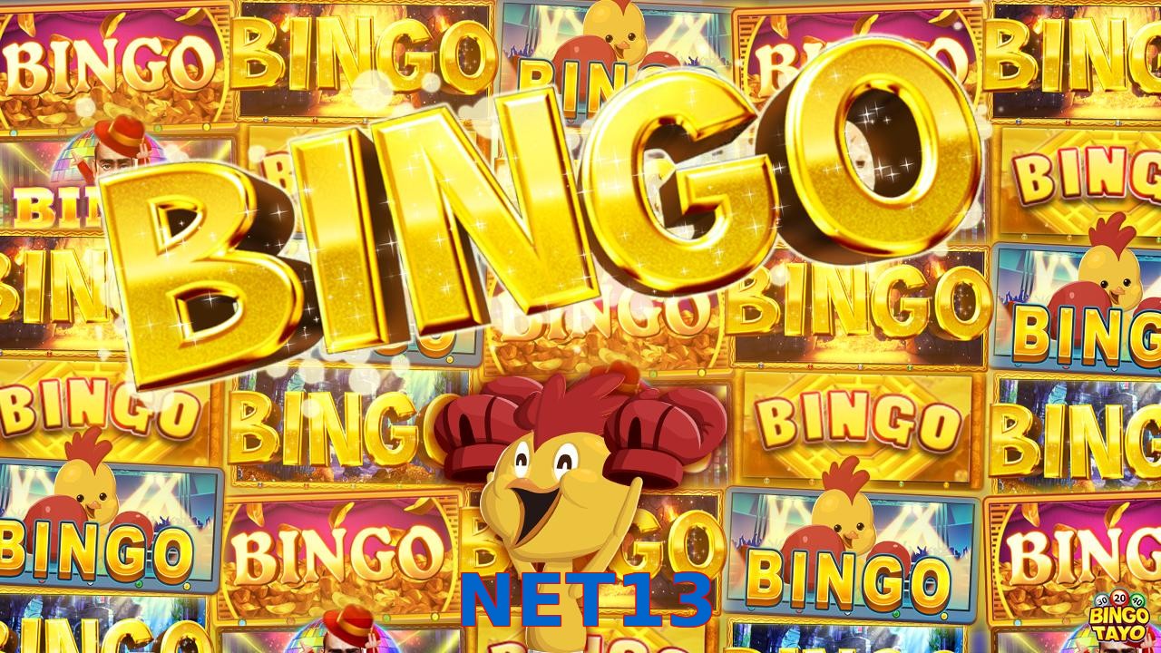 NET13