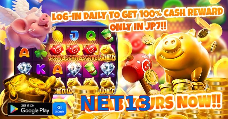 NET13