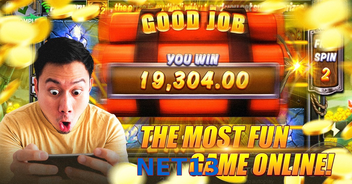 NET13