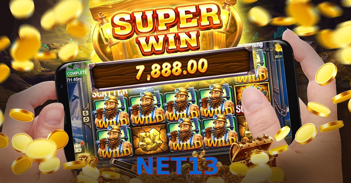 NET13