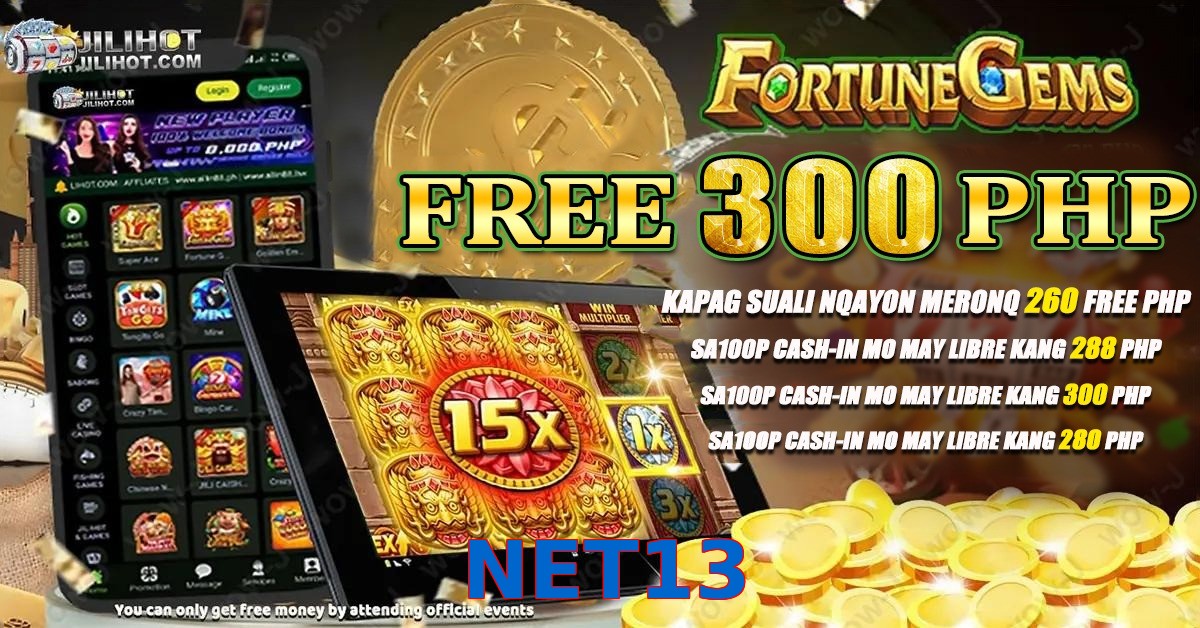 NET13