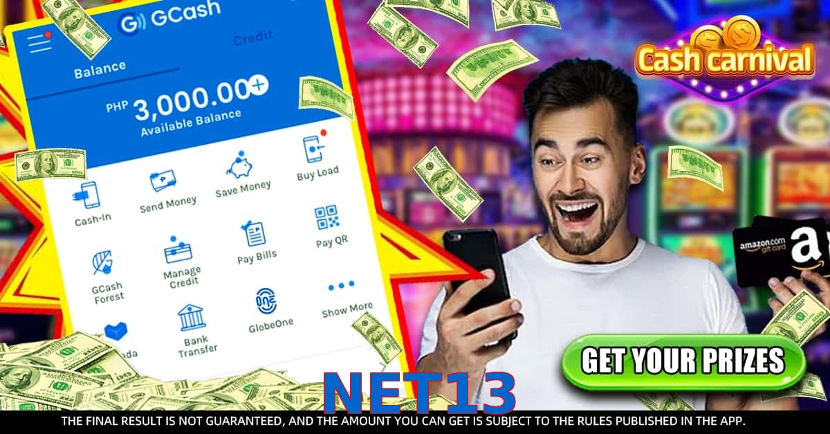 NET13