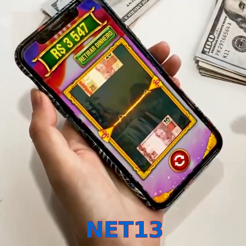 NET13