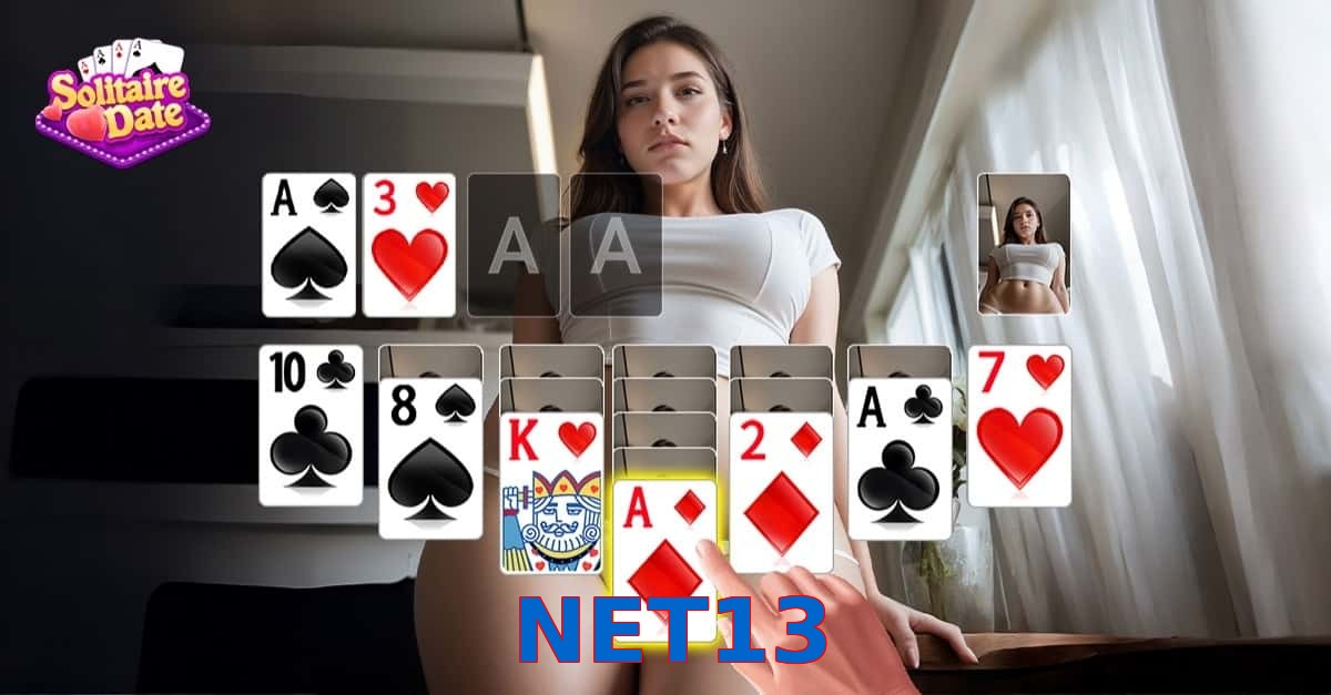 NET13