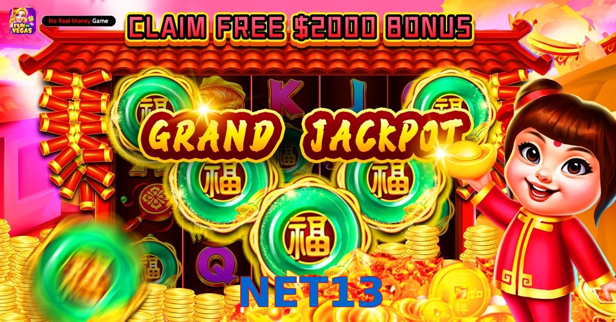 NET13