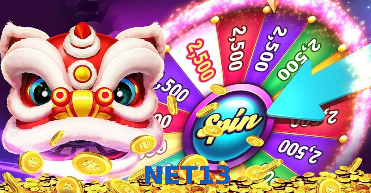 NET13