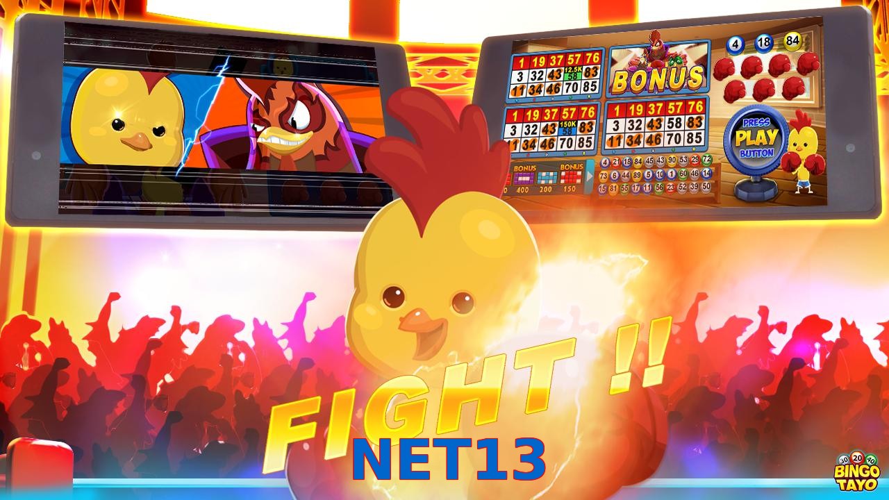 NET13