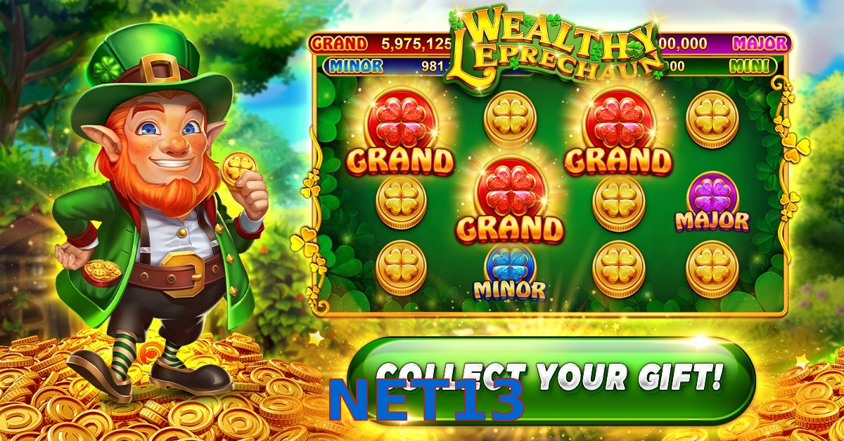 NET13
