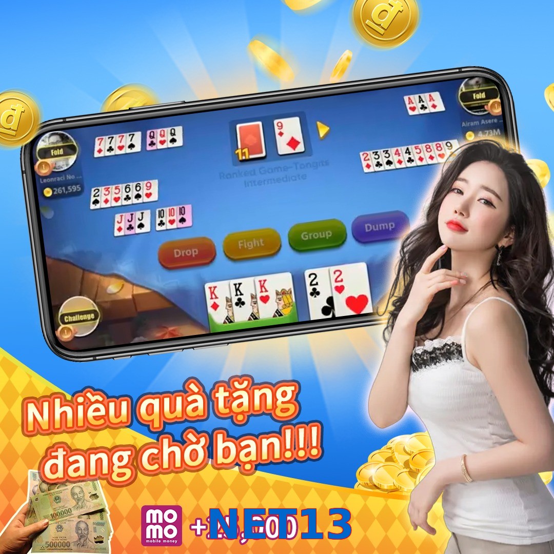 NET13